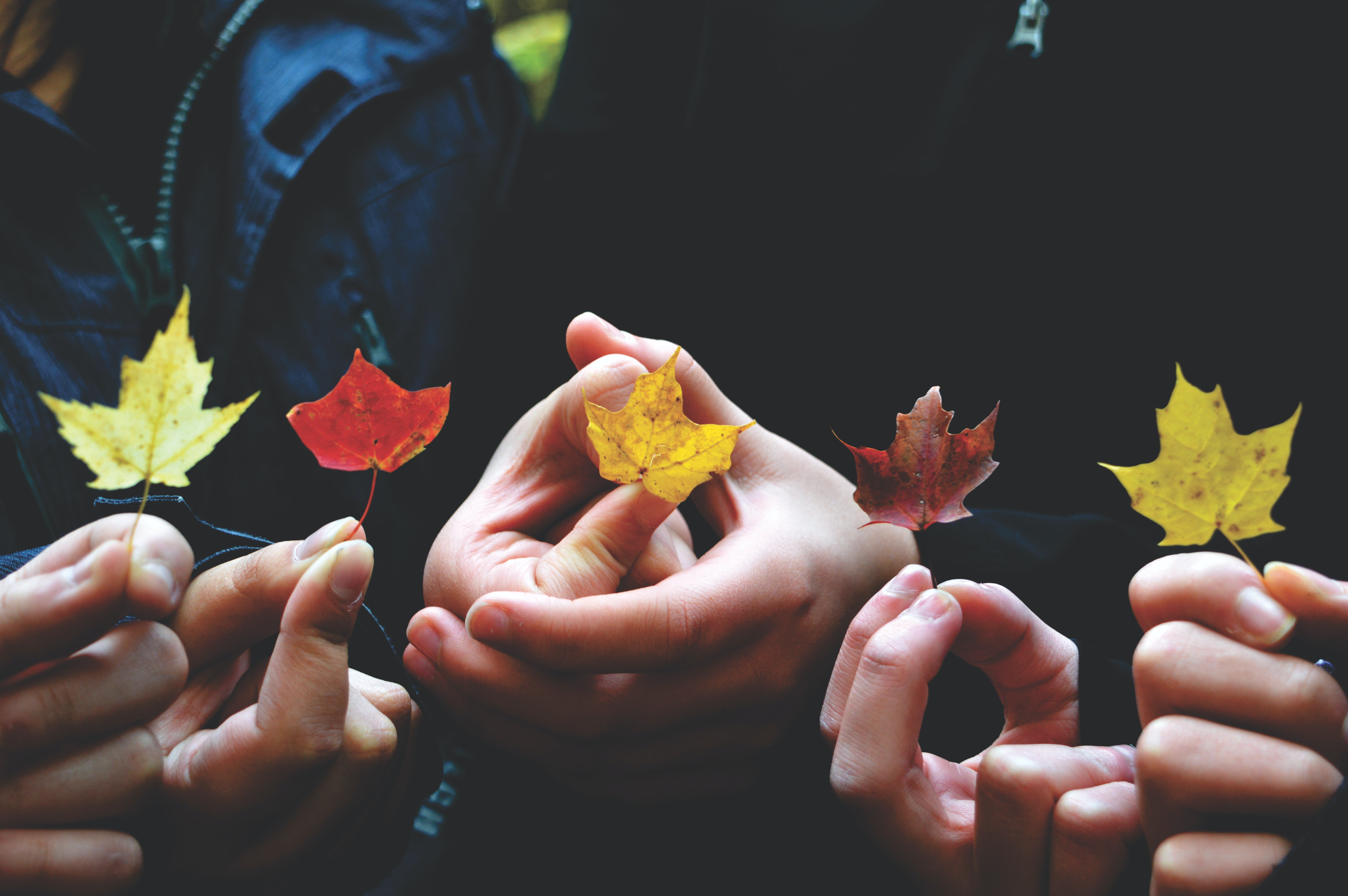 Interactive Events for Colleagues & Family